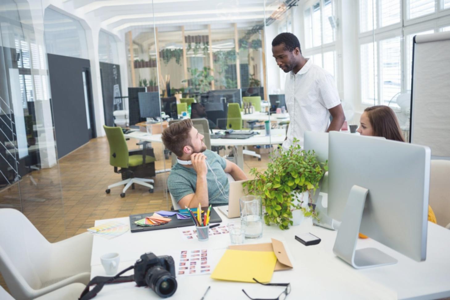 Macro fotografia di insetto su fiore con dettagli degli occhi composti