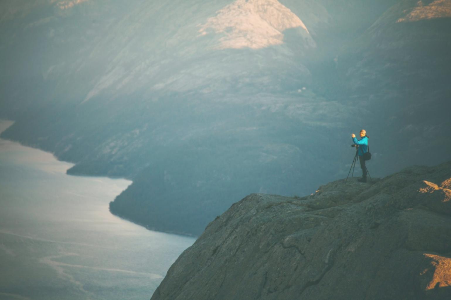 Primo piano estremo di struttura vegetale con venature dettagliate