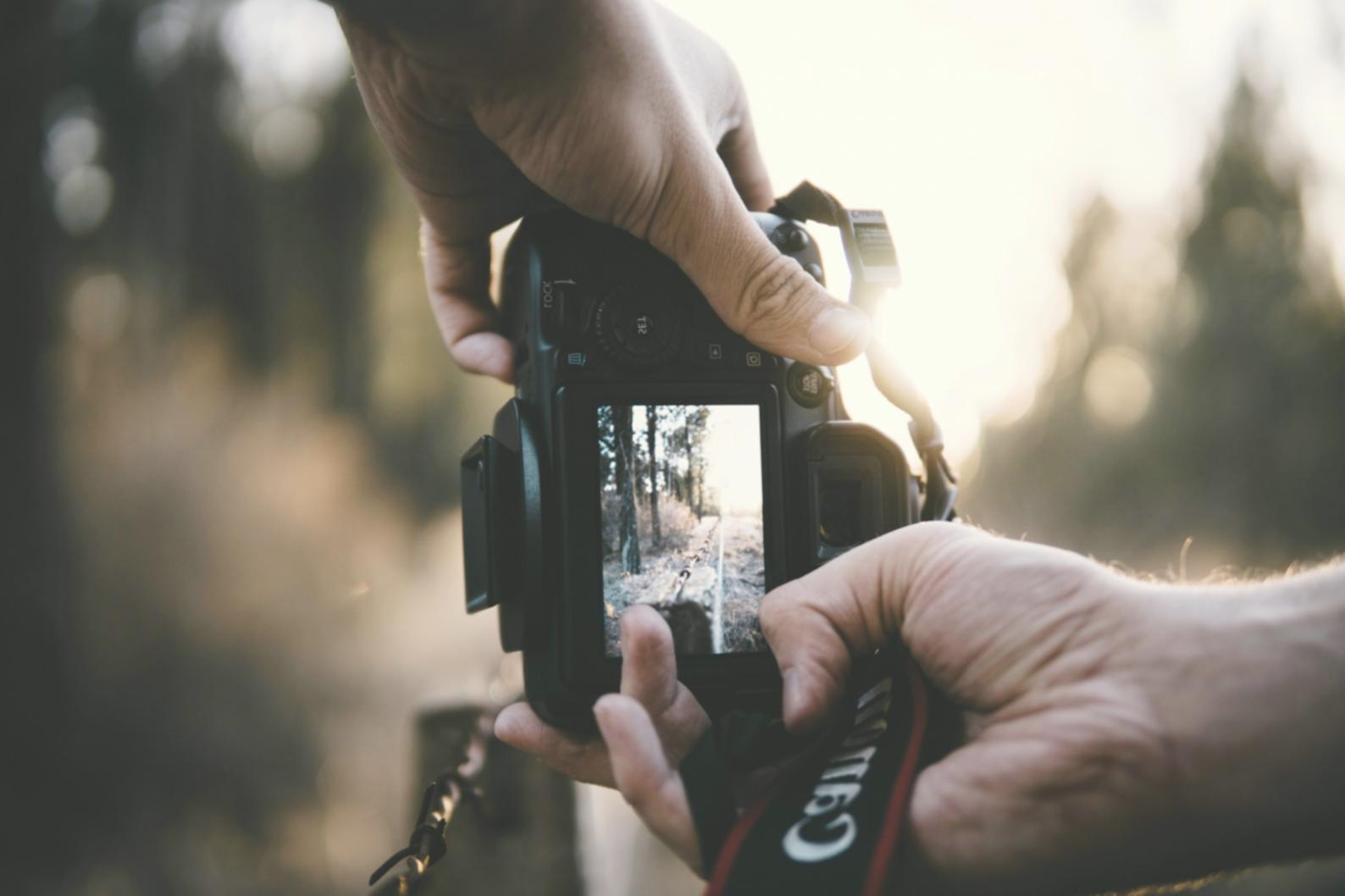 Dettaglio macro di una goccia d'acqua su petalo